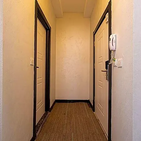 Otel Süper Halkalı *